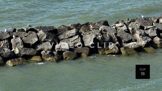 Stock Video Presque Isle State Park Erie PA