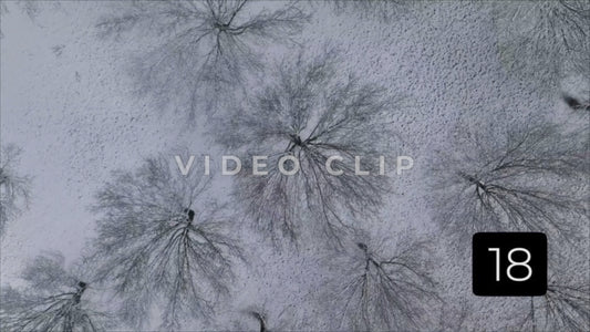 CLIP 18 - Winter Vol. 1 - Slowly drifting over frozen trees while snow falls