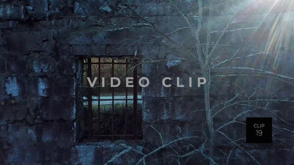CLIP 19 - Atlanta, GA Arabia Mountain jailhouse ruin