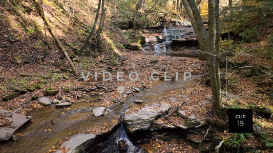 CLIP 19 - Waterfall Serenity