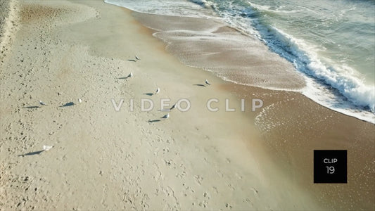 CLIP 19 - Beautiful Beach