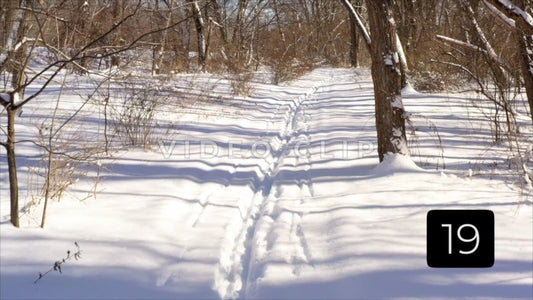 CLIP 19 - Winter Vol. 5 - Beautiful hiking trail covered in snow