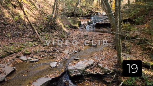 CLIP 19 - Waterfall Serenity