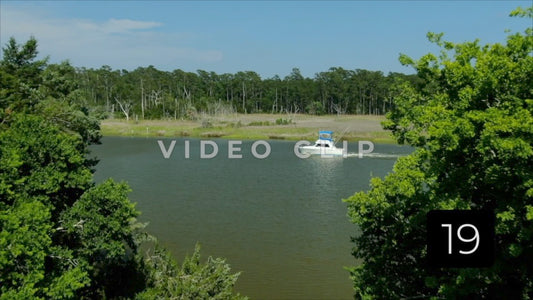 CLIP 19 - South Carolina Ricefields Vol 4. - Estherville Plantation