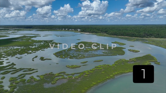 CLIP 1 - Murrells Inlet, SC Vol. 1