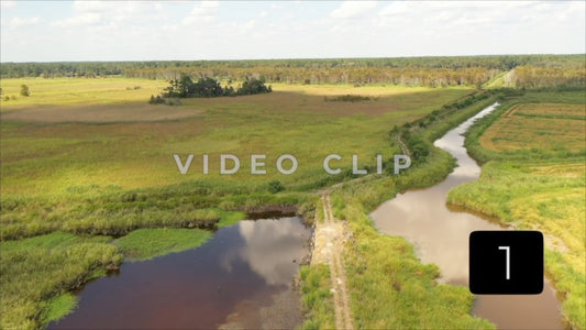 CLIP 1 - South Carolina Ricefields Vol 3. - White House Plantation