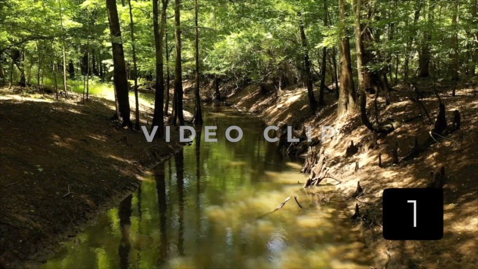 CLIP 1 - Francis Marion National Forest, SC