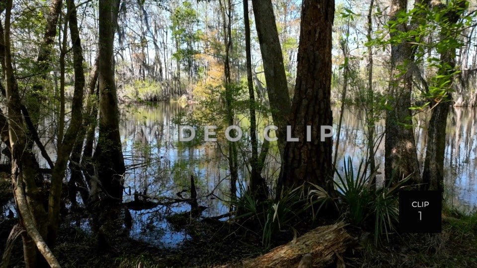 CLIP 1 - Peaceful River