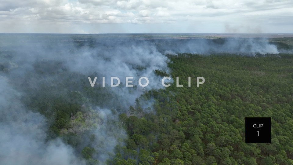 Stock video Controlled burning of forest landscape