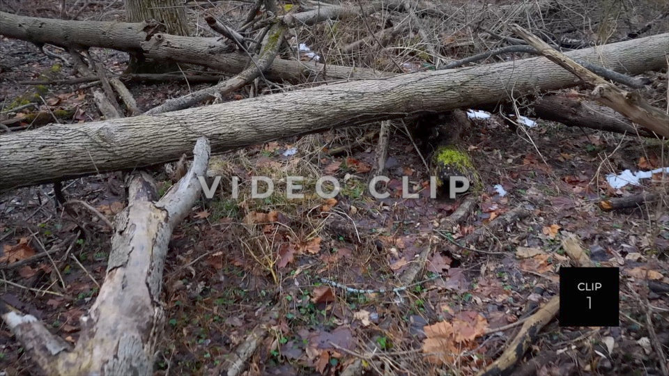 CLIP 1 - Erie Canal Vol. 5