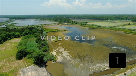 CLIP 1 - South Carolina Ricefields Vol 4. - Estherville Plantation