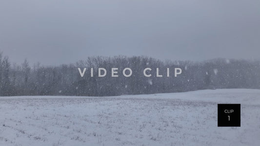 CLIP 1 - Slow flight over pasture while snow falls during Winter