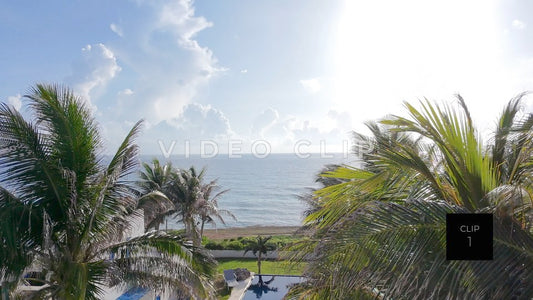 CLIP 1 - Isla Mujeras, Mexico rising up past palm trees to view Caribbean sunrise over ocean