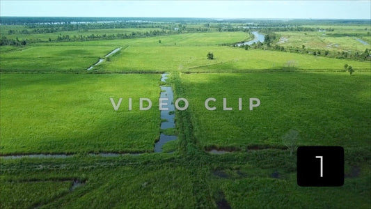 CLIP 1 - South Carolina Ricefields Vol 5. - Samsworth Plantation
