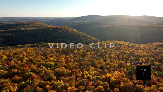 CLIP 1 - Pennsylvania Grand Canyon, PA on horizon then pull away and tilt down to tree tops