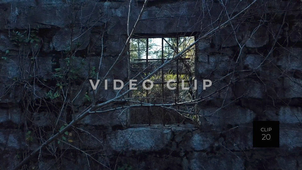 CLIP 20 - Atlanta, GA Arabia Mountain jailhouse ruin