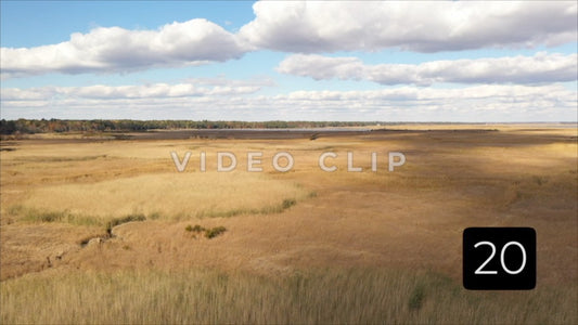 CLIP 20 - South Carolina Ricefields Vol 2. - Pee Dee Waccamaw Confluence
