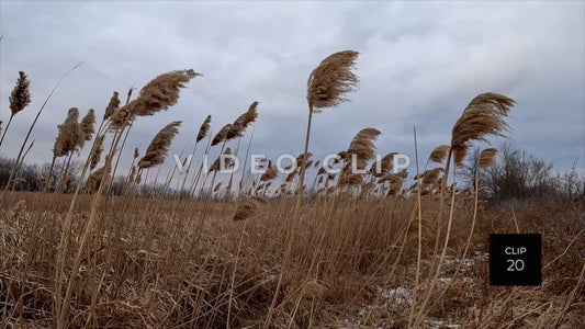 CLIP 20 - Erie Canal Vol. 5