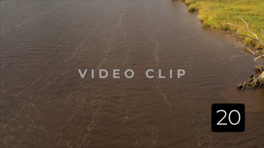 CLIP 20 - South Carolina Ricefields Vol 3. - White House Plantation