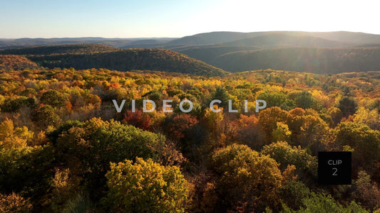 CLIP 2 - Pennsylvania Grand Canyon, PA Low flight over trees to PA Grand Canyon on horizon