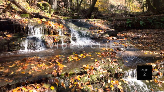 CLIP 2 - Waterfall Serenity