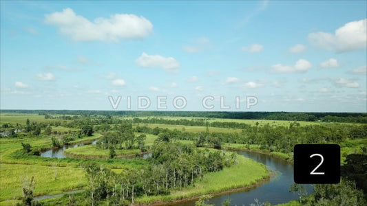 CLIP 2 - South Carolina Ricefields Vol 5. - Samsworth Plantation