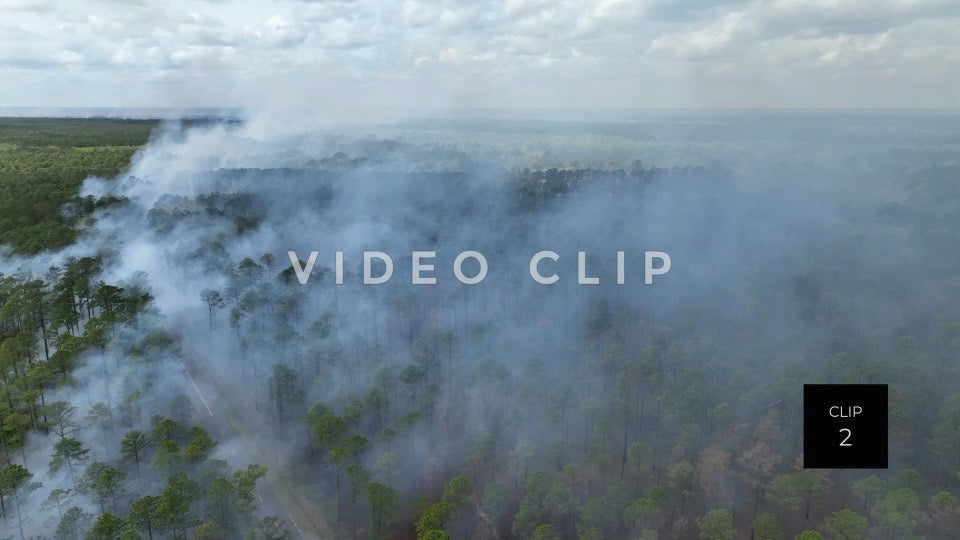 Stock video Controlled burning of forest landscape