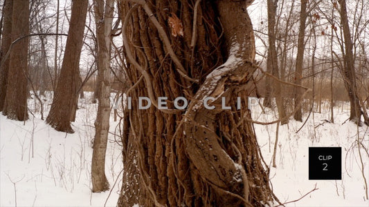 CLIP 2 - Erie Canal Vol. 5