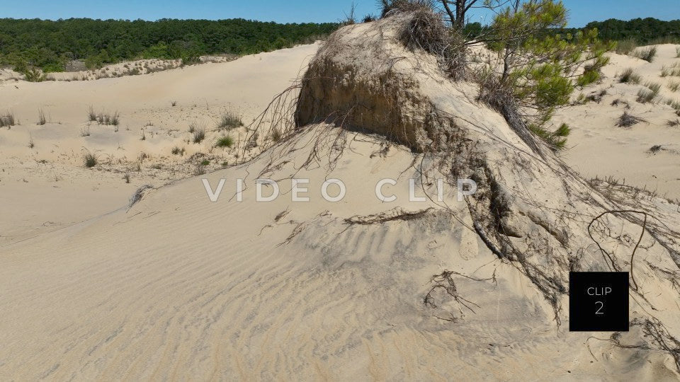 CLIP 2 - Outer Banks, NC natural sand dune formations