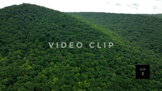 Stock video Allegheny National Forest