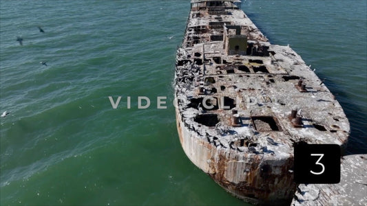 CLIP 3 - Kiptopeke Concrete Ships, VA birds resting on deck then taking flight