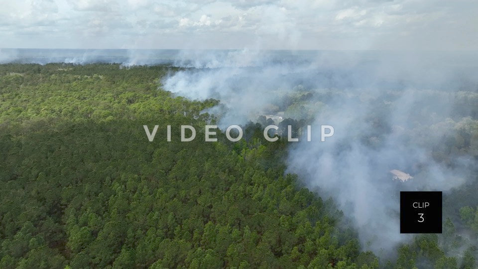 Stock video Controlled burning of forest landscape