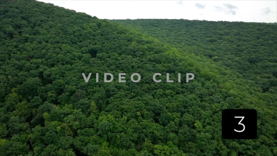 CLIP 3 - Slow flight toward green trees on mountainside in Allegheny National Forest