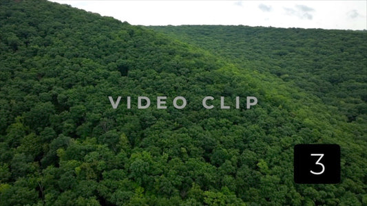 CLIP 3 - Slow flight toward green trees on mountainside in Allegheny National Forest
