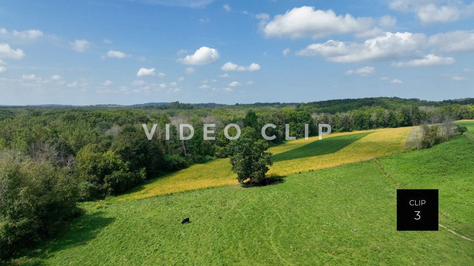 stock video green pastures