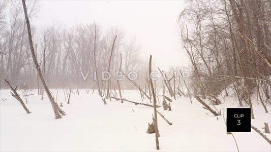 CLIP 3 - Erie Canal Vol. 5