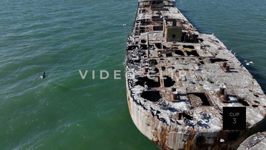 CLIP 3 - Kiptopeke Concrete Ships, VA birds resting on deck then taking flight