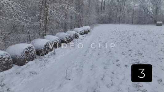 CLIP 3 - Winter Vol. 1 - Gentle snow falls on hay bales in pasture