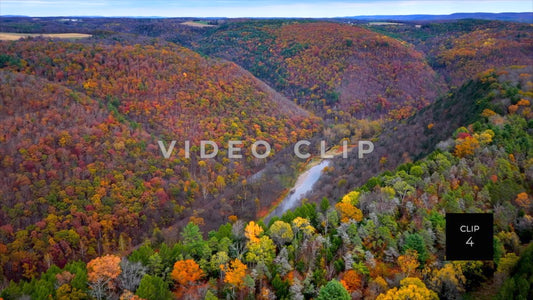 CLIP 4 - Pennsylvania Grand Canyon rising above trees to reveal Pine Creek below