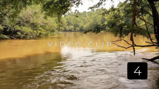 CLIP 4 - Hawkinsville, GA Okmulgee river flowing past cypress knees