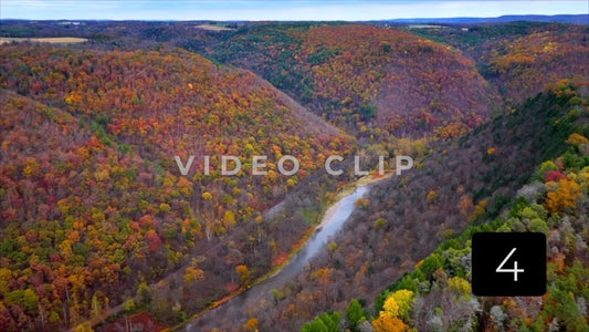 CLIP 4 - Pennsylvania Grand Canyon rising above trees to reveal Pine Creek below
