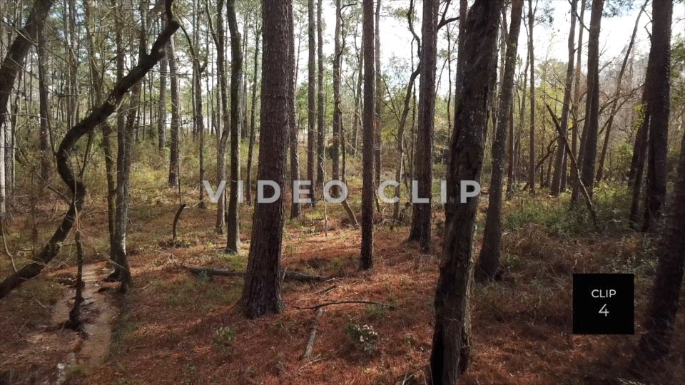 CLIP 4 - Erie Canal Vol. 4