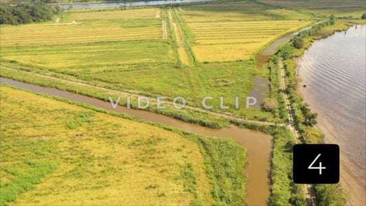 CLIP 4 - South Carolina Ricefields Vol 3. - White House Plantation