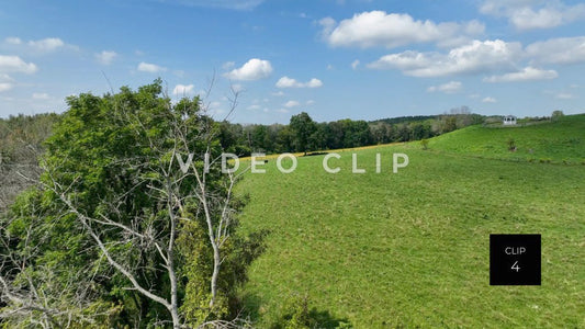 stock video green field