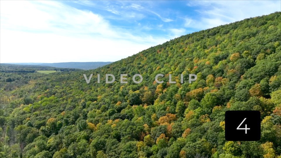 CLIP 4 - Canadice Lake, NY rising up over trees on hillside during Fall season