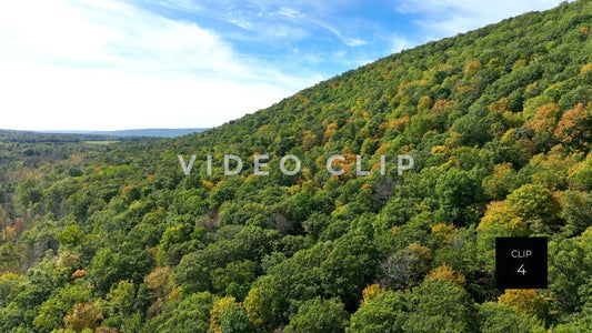 Stock video CLIP 4 - Canadice Lake, NY rising up over trees on hillside during Fall season