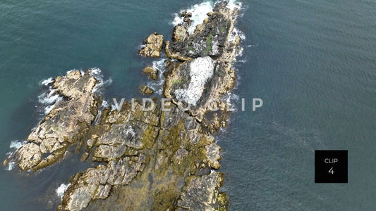 stock video Black Rock Island in Massachusetts Bay near Boston