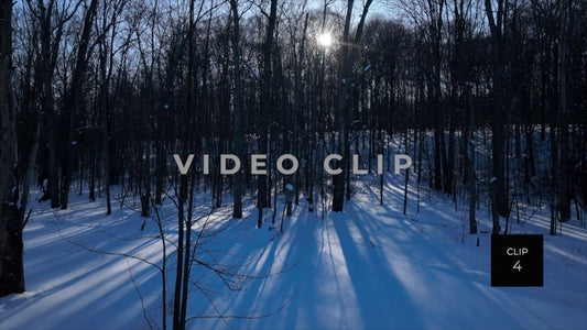 CLIP 4 - Erie Canal Vol. 8