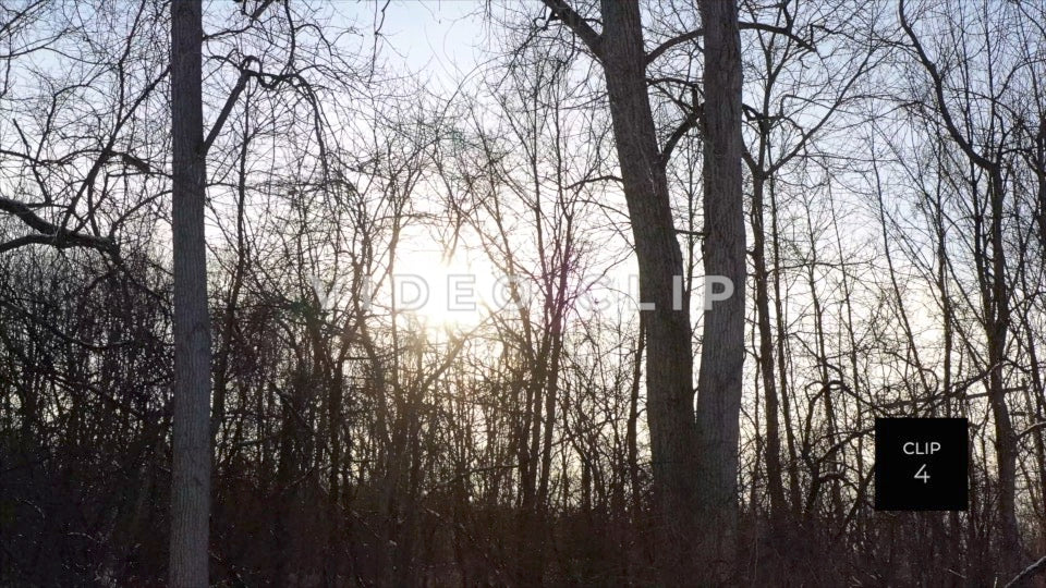 CLIP 4 - Erie Canal Vol. 5