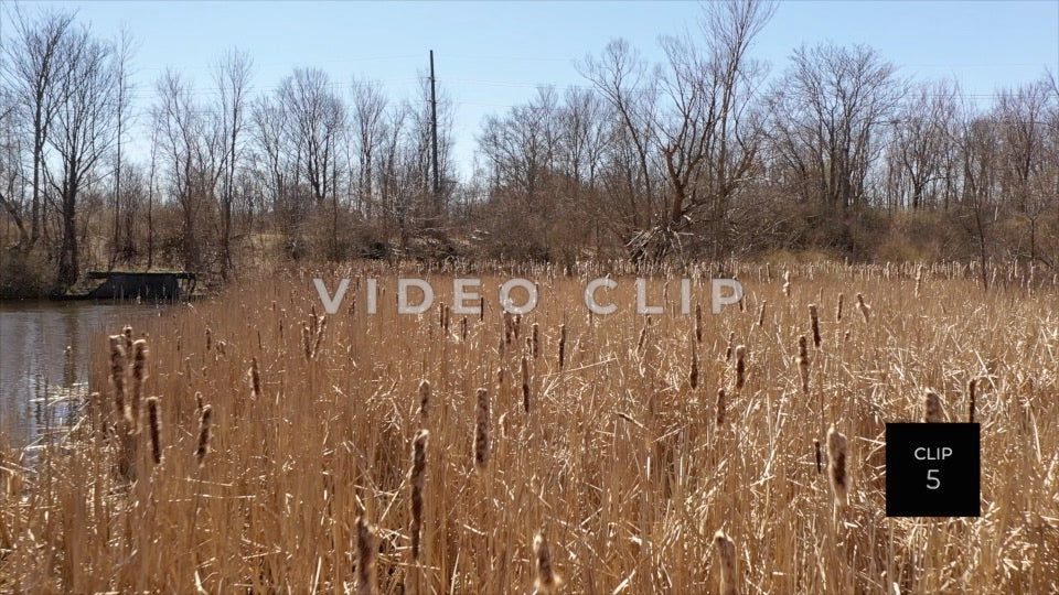 CLIP 5 - Erie Canal Vol. 3